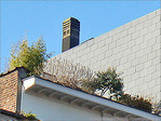 Jardin d'hiver -- 10/12/08