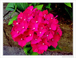 Derri�re chez moi -- 17/07/10