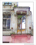 Maison r�serv�e aux oiseaux -- 30/06/05