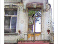 Maison r�serv�e aux oiseaux -- 30/06/05