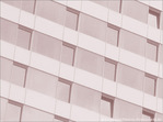 T�te � droite�! Droite�! -- 15/07/09