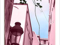 Impasse Madrille -1- -- 10/01/06