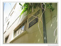 Impasse Madrille -2- -- 10/01/06