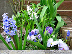 En bleu et blanc -- 17/06/09