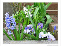 En bleu et blanc -- 17/06/09