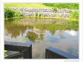 Nuage dans l'eau -- 23/07/09