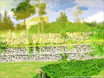 Jardin d'aquarelle -- 24/07/09