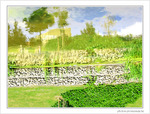 Jardin d'aquarelle -- 24/07/09