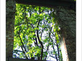 Comme dans un r�ve... -- 10/07/05