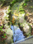 L'eau, source de vie