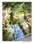 L'eau, source de vie -- 06/07/05