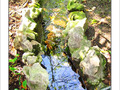 L'eau, source de vie -- 06/07/05
