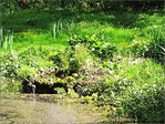  R�v�ler ses Sources ? Ou pas ? -- 04/07/05