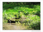R�v�ler ses sources? Ou pas? -- 04/07/05