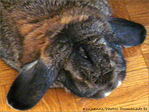 Me reconnaissez-vous�? -- 03/05/07