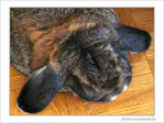 Me reconnaissez-vous�? -- 03/05/07