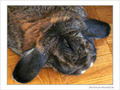 Me reconnaissez-vous�? -- 03/05/07