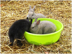 Fais-moi une place�! -- 13/12/10