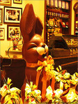 Lapin rit�! -- 15/04/06