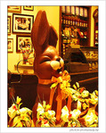 Lapin rit�! -- 15/04/06