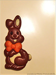 Lapin � croquer -- 23/03/08