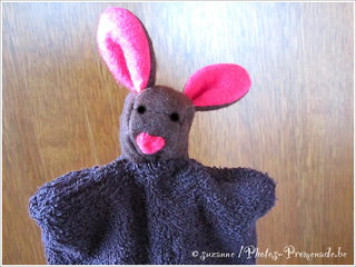 Un Lapin, ce matin
