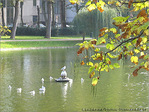Andante gracieux d'Automne -- 20/11/05