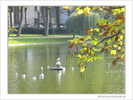 Andante gracieux d'automne -- 20/11/05
