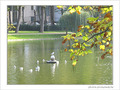 Andante gracieux d'automne -- 20/11/05