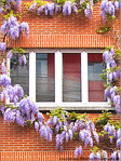 Rien de tel que son Chez soi -- 03/06/09