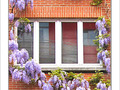 Rien de tel que son chez soi -- 03/06/09