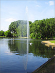 Un Cygne de fra�cheur -- 13/06/05