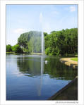 Un cygne de fra�cheur -- 13/06/05