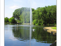 Un cygne de fra�cheur -- 13/06/05