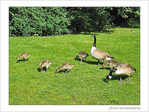 Accompagner l'envol vers la lumi�re -1- -- 10/06/05