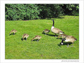 Accompagner l'envol vers la lumi�re -1- -- 10/06/05