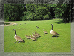 Accompagner l'Envol vers la Lumi�re -2- -- 10/06/05