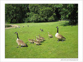 Accompagner l'envol vers la lumi�re -2- -- 10/06/05