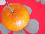 Quand les Fleurs se font Mandarines -- 03/04/12