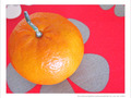 Quand les Fleurs se font Mandarines -- 03/04/12