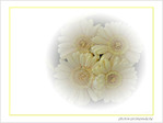 Les quatre marguerites -- 31/03/08