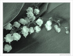 Mai s'en est all�  -- 31/05/10