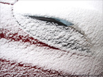 Clin d'oeil Automobile -- 06/02/12