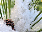 � l'Abri -- 19/01/13