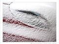 Clin d'oeil Automobile -- 06/02/12
