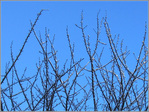 Pointer le ciel