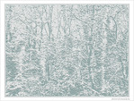Neiges d'antan -1- -- 09/02/10