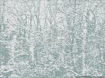 Neiges d'antan -1- -- 09/02/10