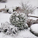Blanches couleurs -- 12/01/10