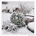 Blanches couleurs -- 12/01/10